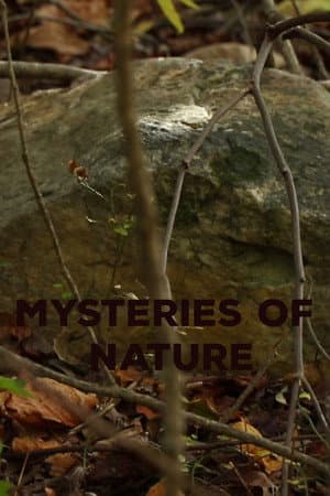 Mysteries of Nature