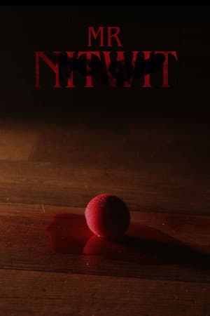 Mr Nitwit