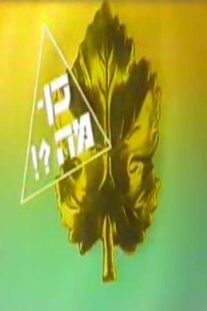 כן מה?!