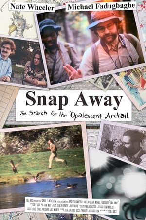 Snap Away: The Search for the Opalescent Arctail