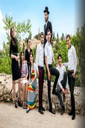 שידוך משמיים