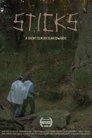 Sticks