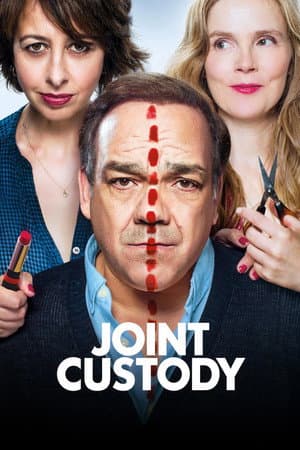 Joint Custody