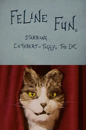 Feline Fun