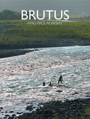 Brutus, the Journey