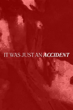 It Was Just an Accident