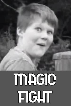 Magic Fight