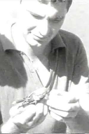 Ozhelanda