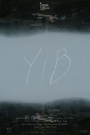 YIB