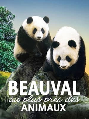 Beauval, au plus près des animaux