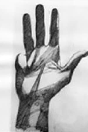 Five Films of a Hand