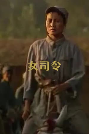 女司令
