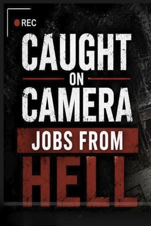 Jobs from Hell: Caught on Camera