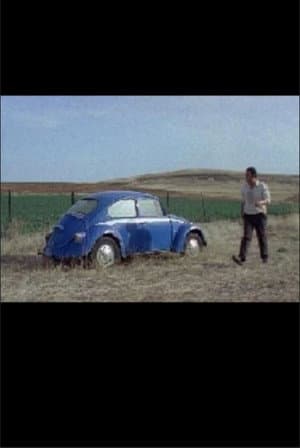 Street Fight
