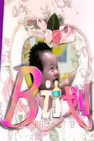B计划