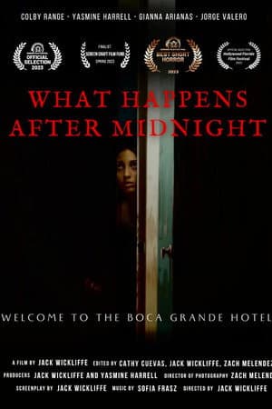 What Happens After Midnight