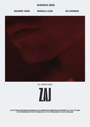 Zaj