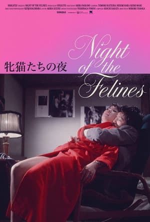 Night of the Felines