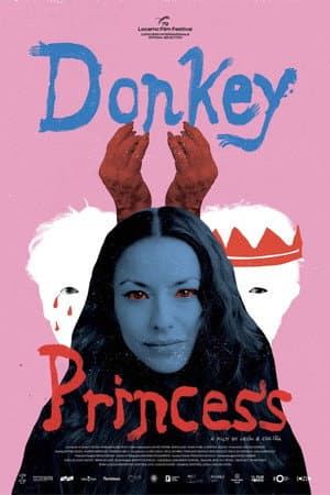 Donkey Princess