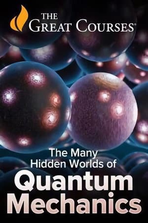 The Many Hidden Worlds of Quantum Mechanics