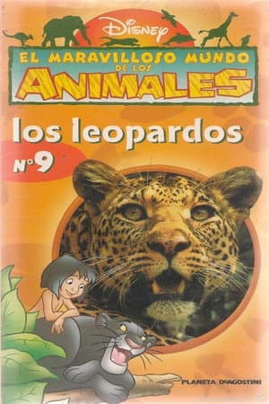 The Wonderful World of Animals