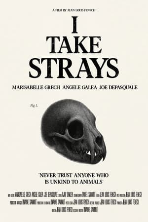 I TAKE STRAYS