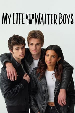 My Life with the Walter Boys