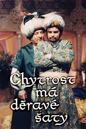 Chytrost má děravé šaty