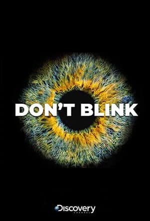 Don’t Blink