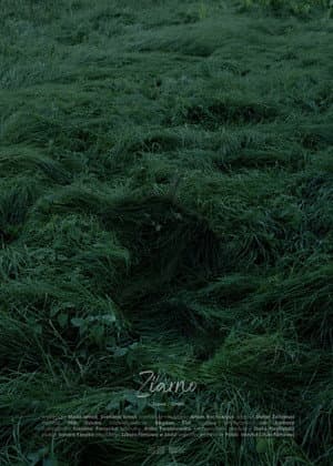 Grain