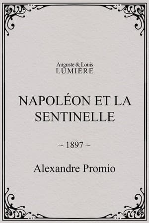 Napoléon et la sentinelle