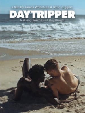 Daytripper