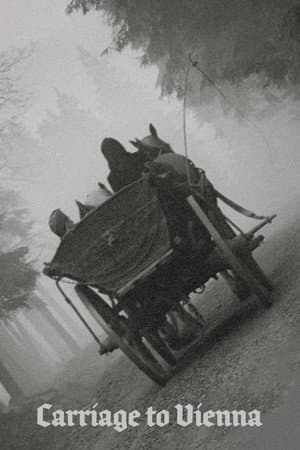 Carriage to Vienna