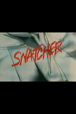 Snatcher