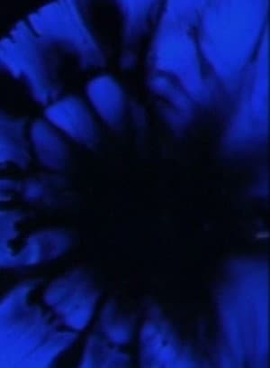 Adagio