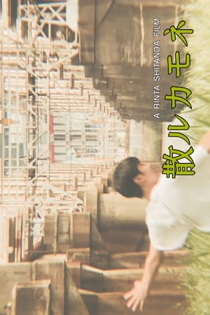 散ルカモネ