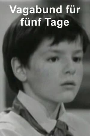 Vagabund für fünf Tage