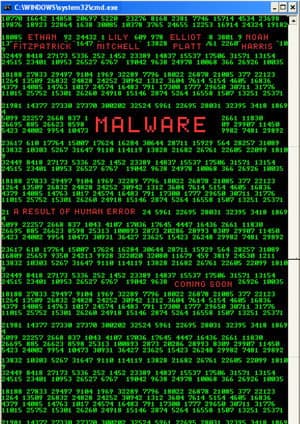 MALWARE