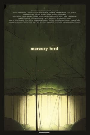 Mercury Bird