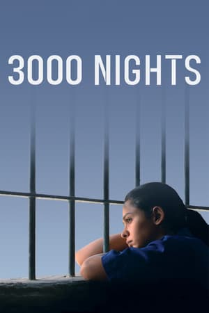 3000 Nights