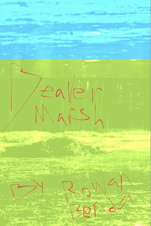 Beaver Marsh