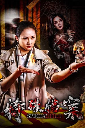 特殊档案