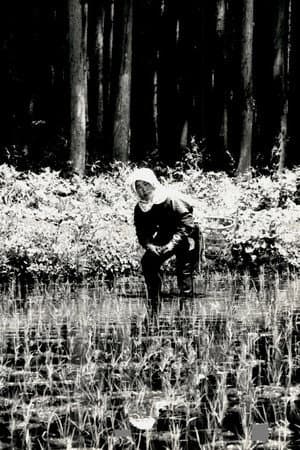 The Japanese Part 3: Farm Song