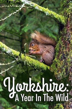 Yorkshire: A Year in The Wild