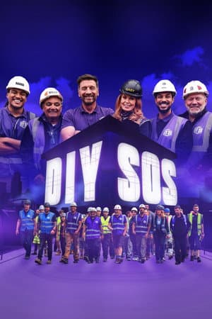 DIY SOS