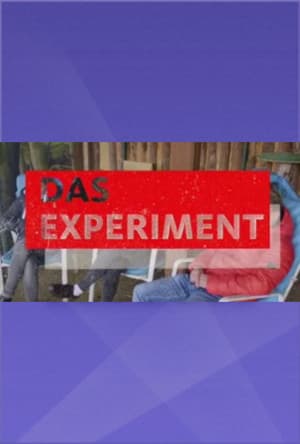 Das Experiment