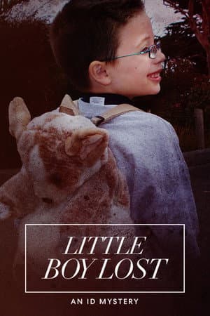 Little Boy Lost: An ID Mystery