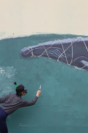 The Whale Story