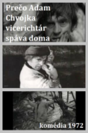 Adam Chvojka vicerichtár
