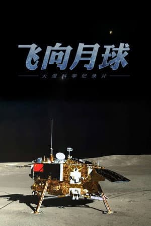 飞向月球
